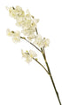 Artificial 69cm Single Stem White Miniature Phalaenopsis Orchid